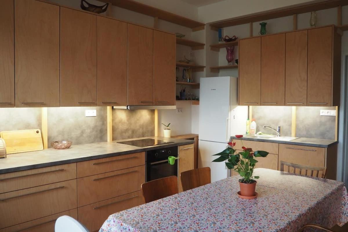 Rodinny Apartman V Centru Prahy 布拉格 外观 照片